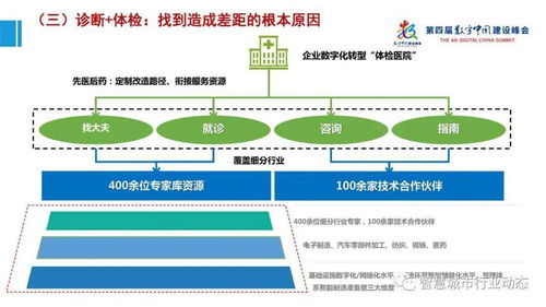 數(shù)字中國與產(chǎn)業(yè)大腦 工業(yè)互聯(lián)網(wǎng)大數(shù)據(jù)報(bào)告與PPT解析